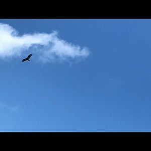 Meet your Posher, Dee